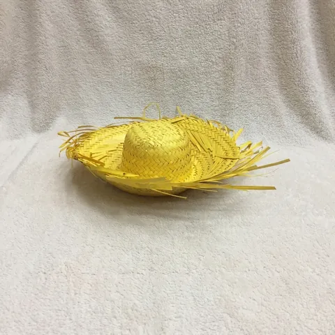 Mini Sombrero Messicano Cappello di Paglia Con Bordo Arcobaleno per Animali Domestici Decorazione Festa Foglia di Palma Naturale Stile Etnico