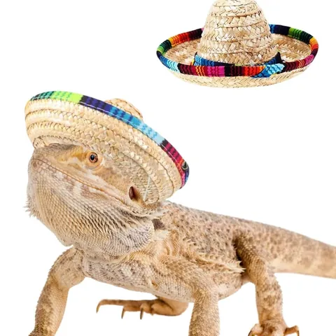 Mexikanischer Strohhut Haustier Sombrero Regenbogenrand Bedrucktes Hund Katze Halstuch Cinco De Mayo Fiesta Kostüm Zubehör