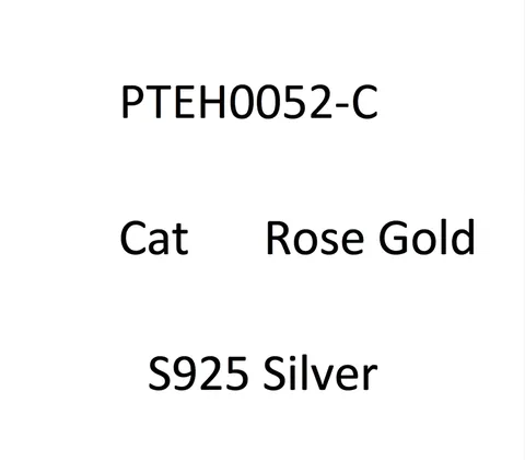 Bracelet Rivière Minimaliste en Argent Sterling 925 pour Femme Ajustable Zircone Cubique Étincelante Chaîne à Maillons Bijoux Cadeau