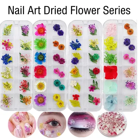 Decoraciones de Arte de Uñas de Flores Secas Multicolor Pegatinas Florales Naturales para Maquillaje Facial Boda Fiesta Manualidades Accesorios