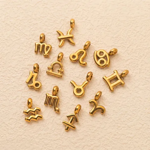 Stainless Steel Twelve Zodiac Charms 18K Gold Plated Aries Taurus Gemini Leo Virgo Scorpio Pisces Aquarius Capricorn DIY Jewelry Shoe Accessories