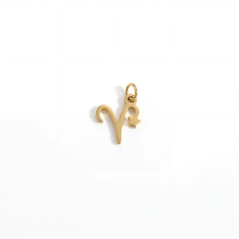 Ciondoli in Acciaio Inossidabile con 12 Pietre Portafortuna Segni Zodiacali per Fai da Te Gioielli Placcati in Oro 18K Accessori