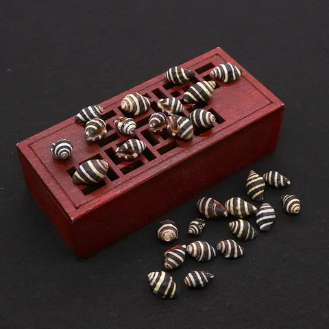 Perline Naturali in Conchiglia di Lumaca di Mare 10x15mm Perline Sciolte a Spirale a Strisce per Creazione Gioielli DIY Collana