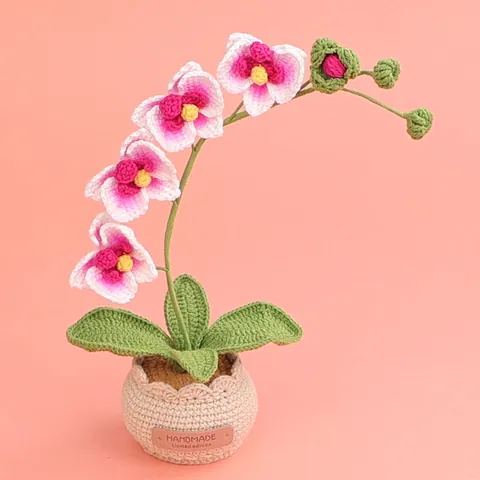 Handgefertigte Häkeln Phalaenopsis Orchidee Topfpflanze Garn Gestrickte Künstliche Blume Desktop Ornament Für Home Office Deko Geschenk