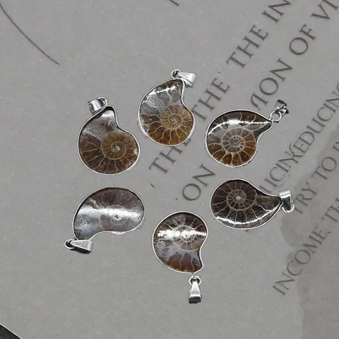 Natural Ammonite Fossil Snail Shaped Pendant Silver Metal Edging Retro Shell Charm Pendant Only (Without Chain)