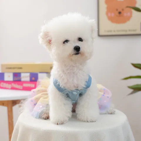 Pet Dog Denim Dress With Rainbow Tulle Skirt Crown Embroidery Sequins Star Pattern Cute Princess Puppy Cat Apparel For Small Dogs