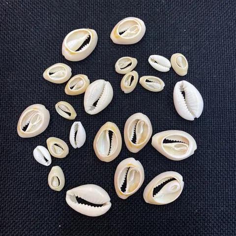 Natural Shell Beads Polished Cowrie Conch Slices Loose Beads For DIY Jewelry Making Necklace Accessories For Party Wedding