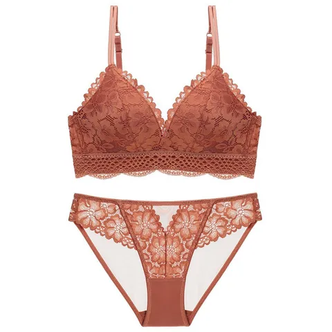 Women Sexy French Lace Bra And Panties Lingerie Top And Underwear Thin Wireless Floral Embroidery Bralette Panty For Women