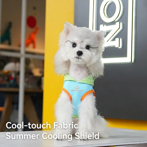 Pet Cooling Hooded Vest Breathable Mesh Polyester Contrast Color Summer Dog Clothes For Small Medium Dogs Cats