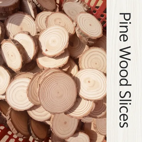 Natural Pine Wood Slices Polished Round Wooden Discs With Tree Bark For DIY Crafts Christmas Decoration Rustic Wood Painting Slices For Photography Props