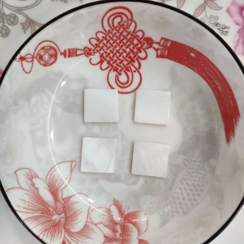 Escamas de Concha Cuadradas Pulidas Naturales Cuentas de Nácar Blanco para Pendientes DIY Accesorios para el Cabello Componentes de Joyería
