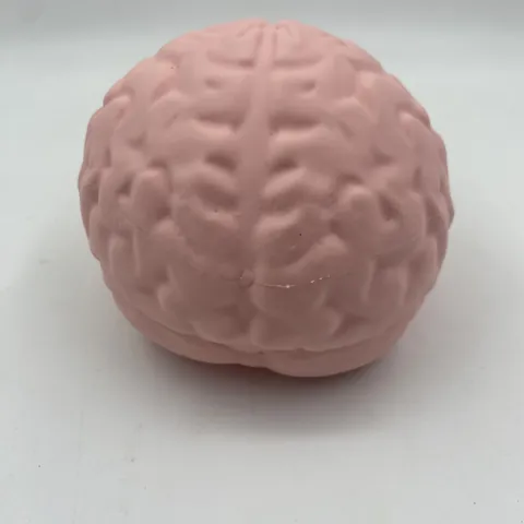 Realistic Brain Squishy Squeeze Toy Human Organ Slow Rebound Stress Relief Toy For Office Desk Decor Halloween Prank Prop