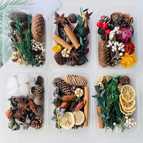 Natural Forest Theme DIY Dried Flower Material Kit With Pine Cones Cinnamon And Dried Fruits For Christmas Home Decor