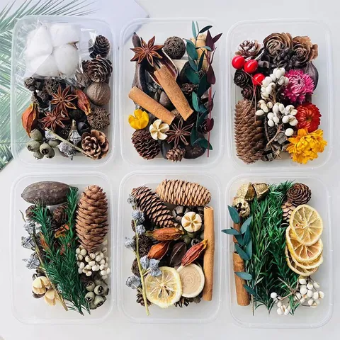 Natural Forest Theme DIY Dried Flower Material Kit With Pine Cones Cinnamon And Dried Fruits For Christmas Home Decor