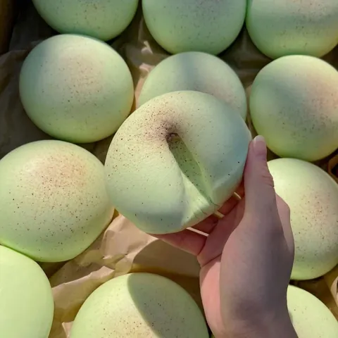 Slow Rebound Squishy Toy Soft Melon Taro Bun Scented Stress Relief Fidget Toy For Kids Adults Decompression Sensory Toy