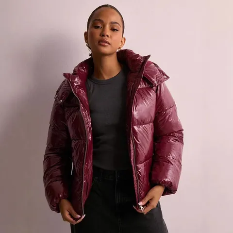 Glanzende Gevoerde Katoenen Winterjas voor Dames Warm Verdikt Pufferjack Casual Bovenkleding voor Dames Winddicht Parka met Rits