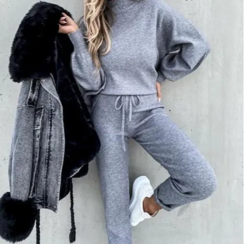 Women's Casual High Neck Long Sleeve Hoodie And Drawstring Pants Top And Bottom Set Autumn Winter Outfits Cotton Sportswear