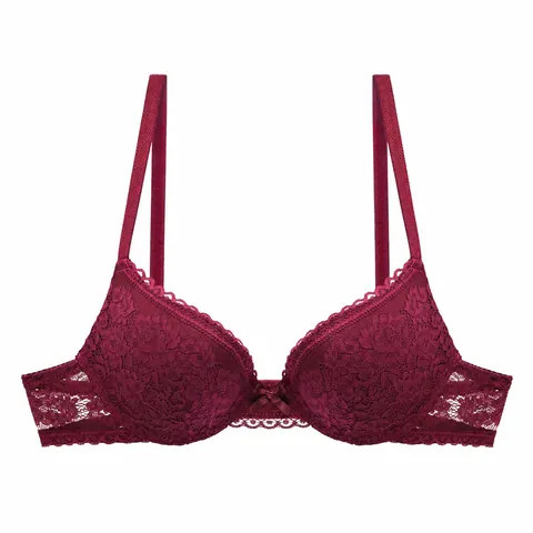 Women Sexy Floral Printed Lace Bra Thin Triangle Cup Push Up Bralette Semi Transparent Lace Trim Bow Decor Lingerie Top
