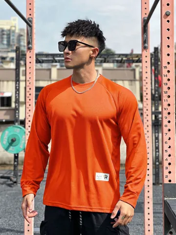 Men's Sport Mesh Long Sleeve T-Shirt Breathable Moisture Wicking Raglan Sleeve Pullover Gym Training Basketball Fitness Top
