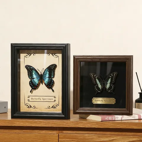 Cadre Shadow Box en Bois Creux 3D avec Verre Véritable Profondeur 2cm Vitrine pour Spécimens de Papillons Insectes Fleurs Décoration Murale