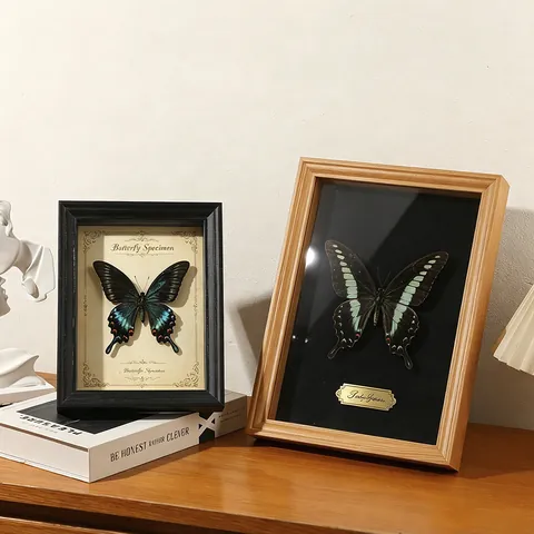 Cadre Shadow Box en Bois Creux 3D avec Verre Véritable Profondeur 2cm Vitrine pour Spécimens de Papillons Insectes Fleurs Décoration Murale