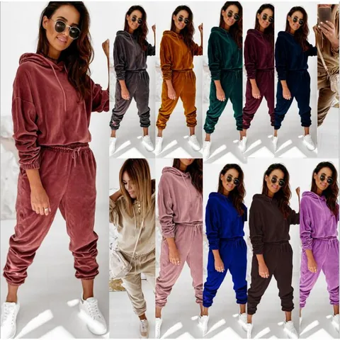Women Velvet Hooded Tracksuit Solid Color Long Sleeve Top And Bottom Casual Loungewear Sporty Outfit For Autumn Winter