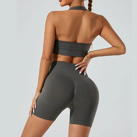 Haut et Bas de Yoga Sans Couture à Dos Nu pour Femmes Soutien-Gorge de Sport Élastique Short Taille Haute Tenue de Fitness