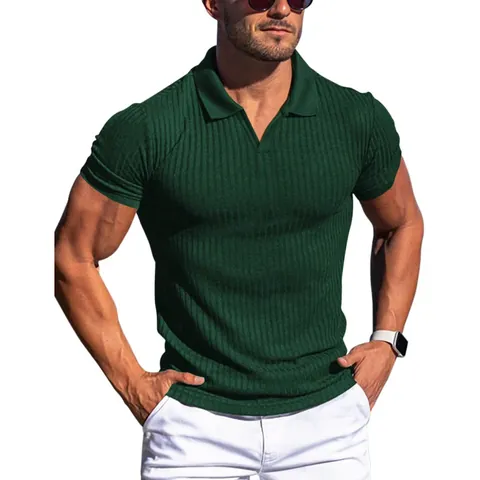 Men's Ribbed Knit Polo Shirt Slim Fit V-Neck Short Sleeve Casual Solid Color High Elastic Summer Top For Men
