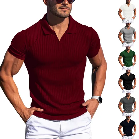 Men's Ribbed Knit Polo Shirt Slim Fit V-Neck Short Sleeve Casual Solid Color High Elastic Summer Top For Men