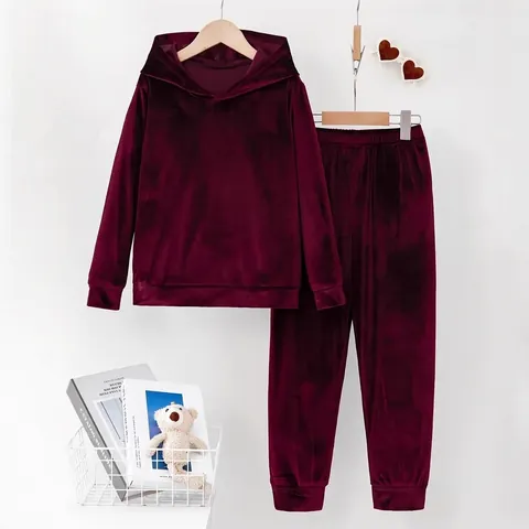 Women Casual Velvet Hooded Sweatshirt And Long Pants Set Solid Color Two Piece Autumn Winter Loungewear Tracksuit Top And Bottom