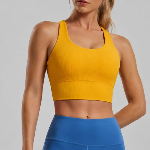 Women Ribbed Striped Sports Bra Criss Cross Back Fixed Padding Yoga Tank Top Shockproof Fitness Gym Activewear Crop Top