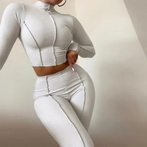 Women Slim Fit Two Piece Set Long Sleeve Stand Collar Crop Top And High Waist Skinny Pants Solid Color Casual Outfit