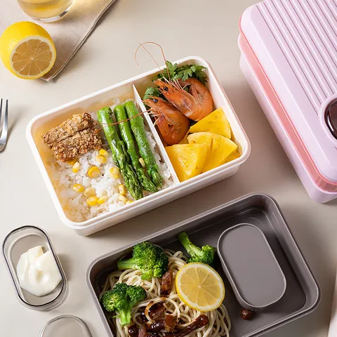 Modern Minimalist Double Layer Bento Box With Lid Buckle Portable Lunch Box For School Office Working Meal Food Container