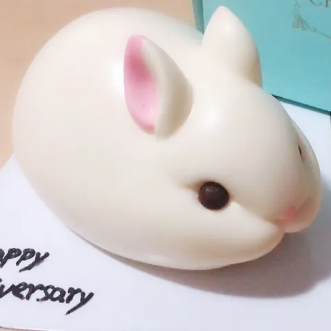 Stampo in Silicone per Coniglio a Cartoni Animati 3D per Pasticceria Fai-da-te Torta Mousse Cioccolato Stampo per Sapone Fatto a Mano Simpatico Strumento da Cucina a Forma di Animale