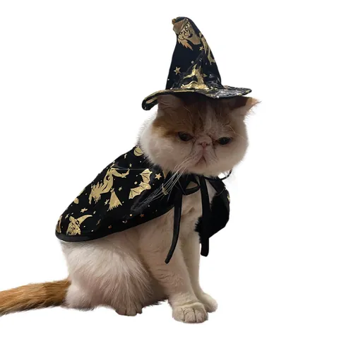 Halloween Pet Wizard Costume Set Witch Cloak With Pointed Hat Black Gold Star Moon Pattern Cat Small Dog Festive Dress Up