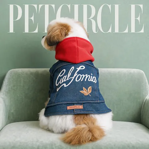 Pet Dog Cat Denim Jacket California Paris Embroidery Hooded Coat Casual Warm Winter Puppy Clothes For Small Dogs Pets