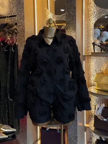 Women Polyester Organza Top And Bottom With 3D Rose Floral Applique Long Sleeve Shirt Shorts Casual Fashion Set