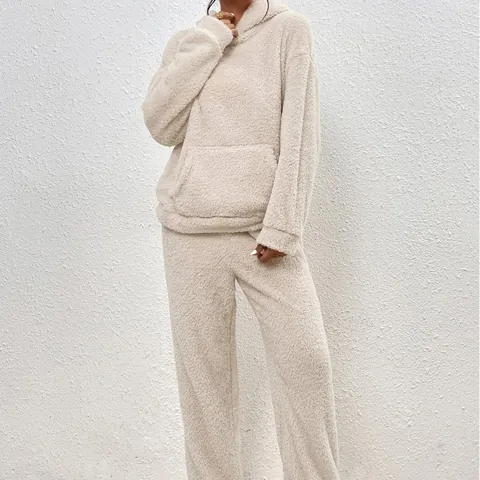 Women Winter Warm Teddy Fleece Hooded Sweatshirt And Pants Set Solid Color Long Sleeve Loungewear Outfit With Pockets Top And Bottom