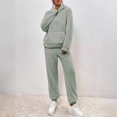 Women Winter Warm Teddy Fleece Hooded Sweatshirt And Pants Set Solid Color Long Sleeve Loungewear Outfit With Pockets Top And Bottom