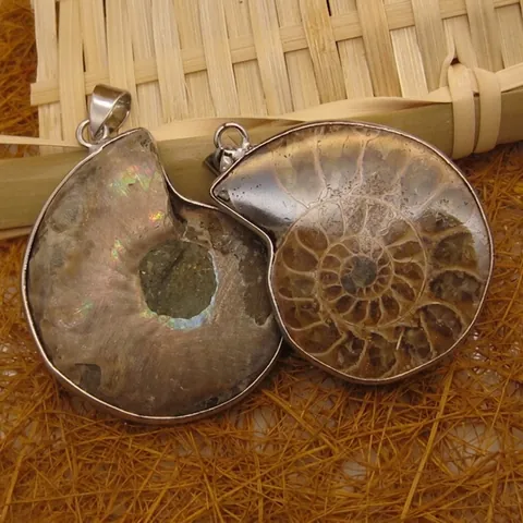 Natural Ammonite Fossil Pendant Only (Without Chain) Vintage Stone Chrysanthemum Fossil Spiral Pendant Necklace For Women Men Jewelry