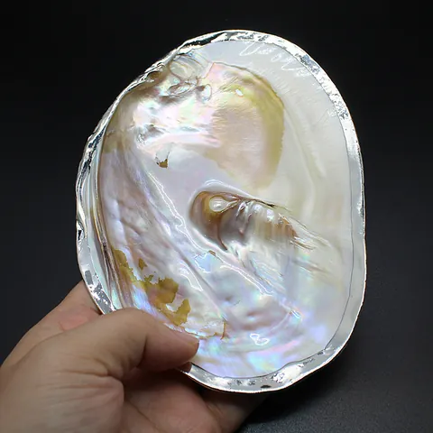 Natural Freshwater Pearl Shell Gilded Edge Decorative Tray Handmade Shell Jewelry Dish Ashtray Soap Holder Home Decor Ornament