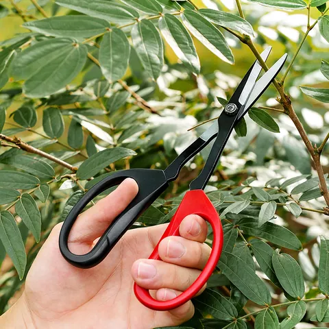 Cesoie da Potatura in Acciaio Inossidabile Professionali per Bonsai Alberi da Frutto Strumento per Giardinaggio Ergonomico
