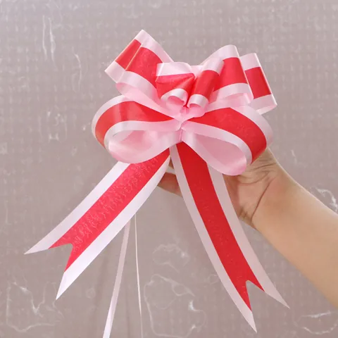 Large Butterfly Pull Bows for Wedding Party Decoration Two Color Plastic Ribbon Bows for Gift Wrapping Room Decor