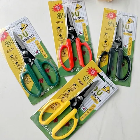 Cesoie per Fiori Professionali in Stile Coreano Forbici da Giardinaggio in Acciaio Inossidabile Strumenti Manuali Ispessiti per Composizioni Floreali H-51