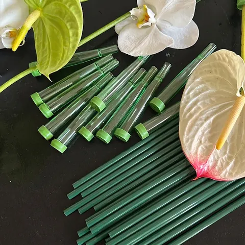 Floral Water Storage Tubes With Extension Rods Orchid Preservation DIY Flower Supplies Translucent Green Plastic Plant Support For Home Crafting Decoration
