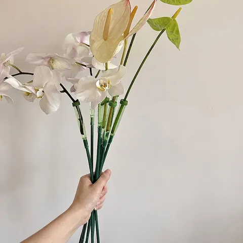 Floral Water Storage Tubes With Extension Rods Orchid Preservation DIY Flower Supplies Translucent Green Plastic Plant Support For Home Crafting Decoration