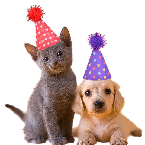 10 Pcs Set Pet Birthday Party Hats Creative Printed Felt Fabric Mini Cone Hats With Adjustable Elastic Band For Cats And Dogs