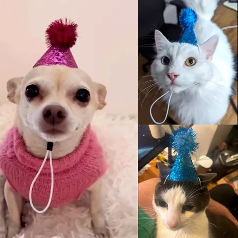 Sombrero Fiesta Cumpleaños para Mascotas Purpurina Gato Perro Cuero Sintético Brillante Cono Con Pompón Correa Elástica Ajustable Accesorio