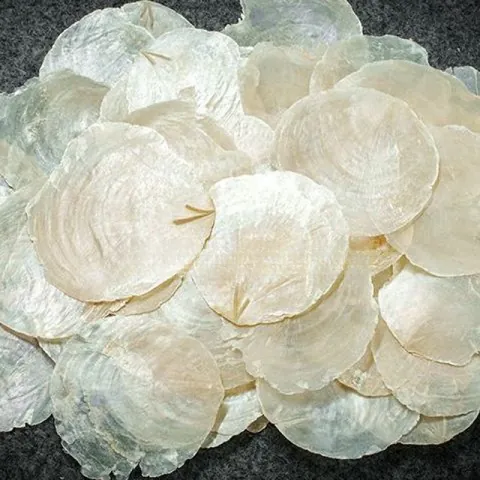 Natural Shell Slices Iridescent White Capiz Shells For Wind Chime DIY Craft Making Wedding Home Party Decoration Hanging Ornament