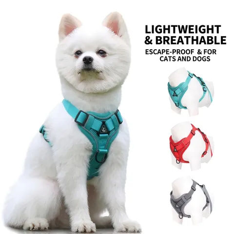 Reflective Breathable Pet Harness And Leash Set For Small Medium Dogs Cats Adjustable Soft Mesh Vest Style Harness For Outdoor Walking